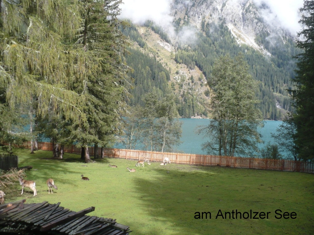 Images/3 Suedtirol_ (76) Antholz.jpg